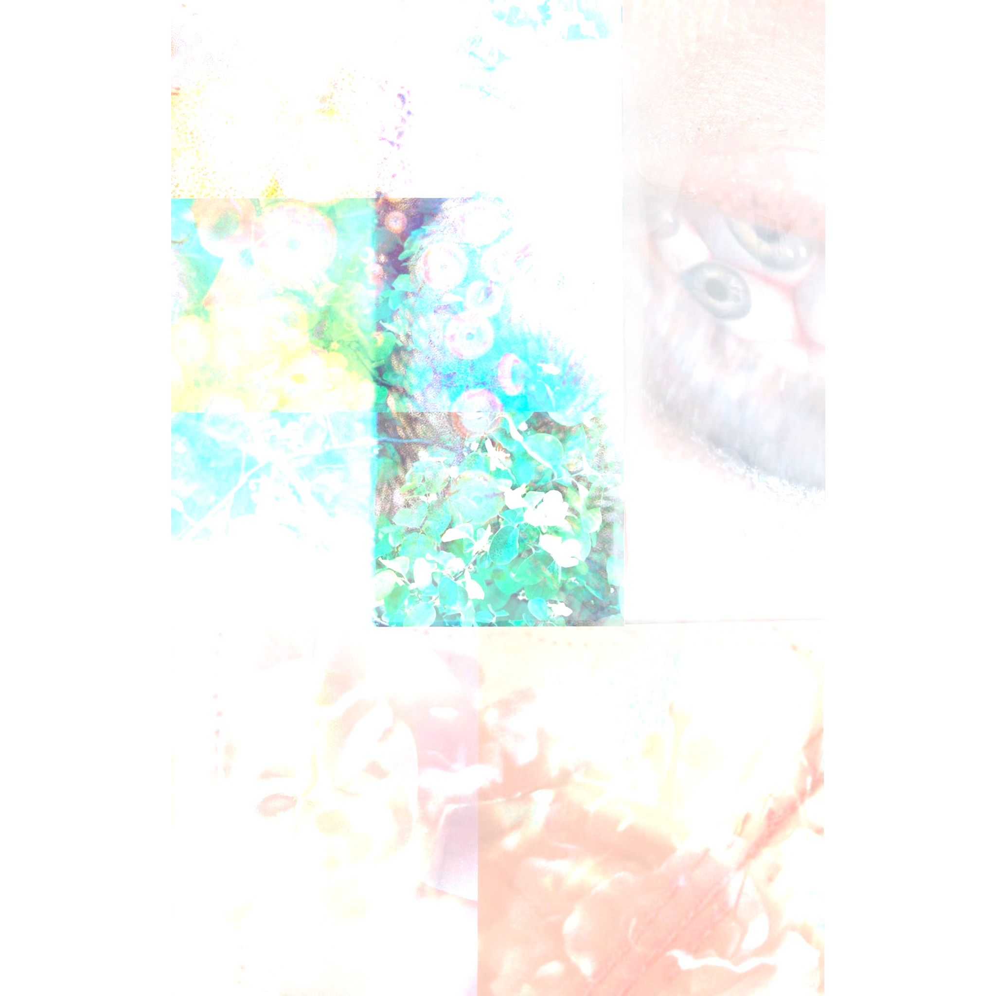 art21