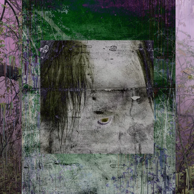 An inverted reflective pool framed by tangled branches and dark green and violet layers.