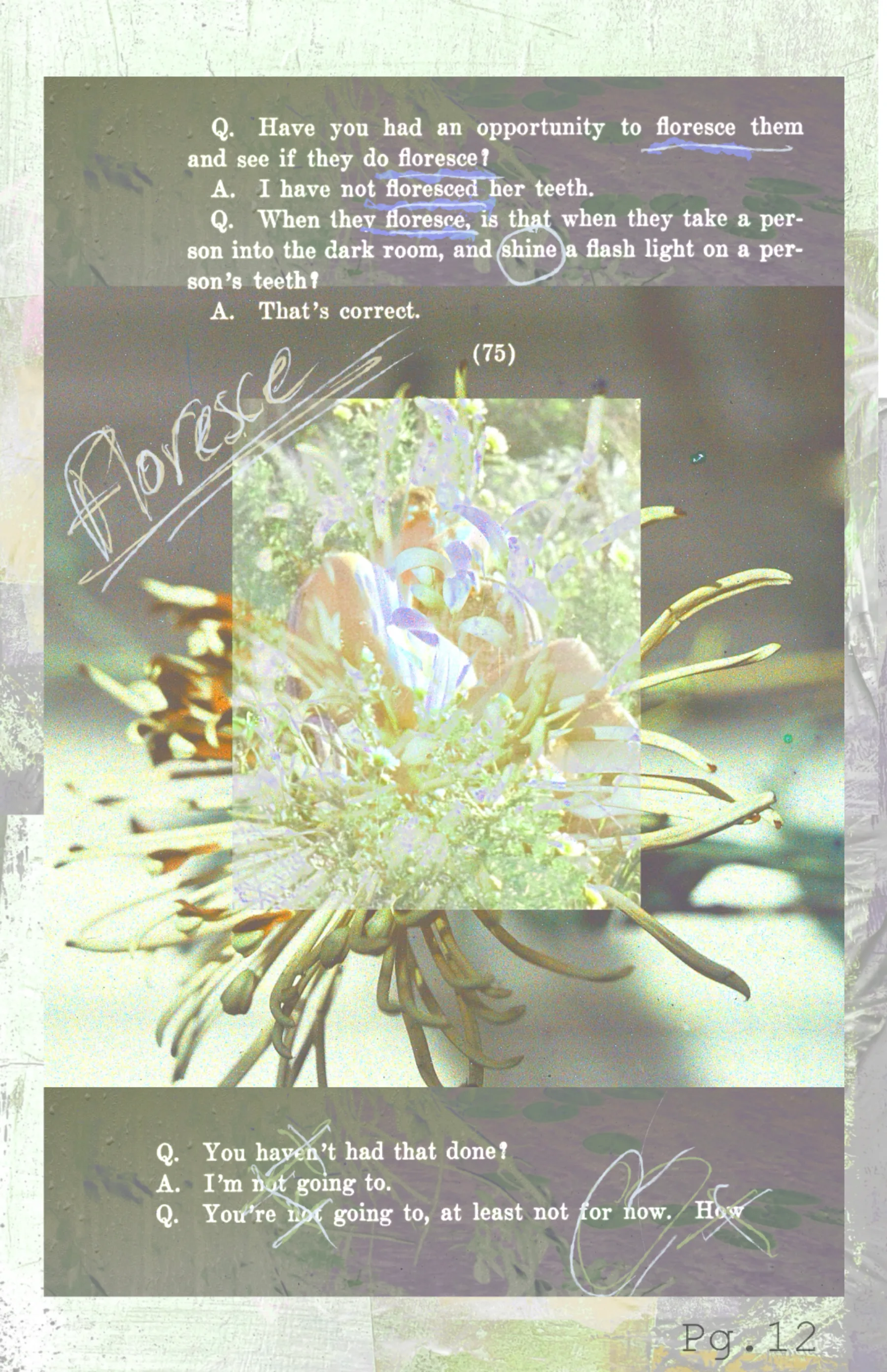 Iridesce zine page 14